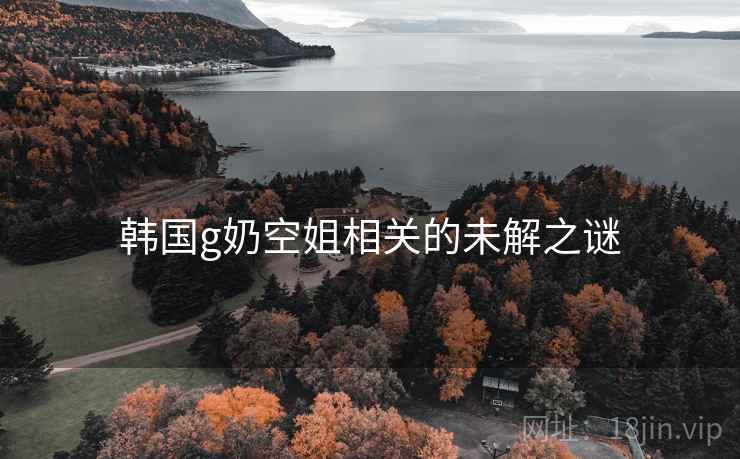 韩国g奶空姐相关的未解之谜
