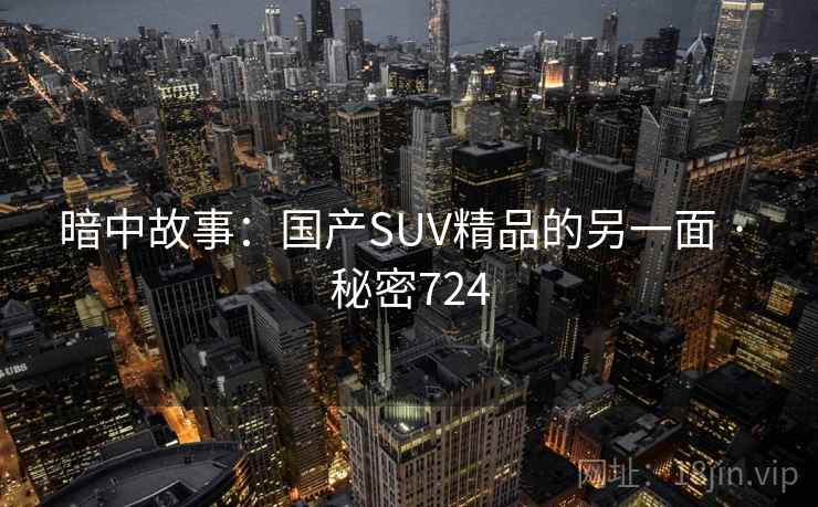 暗中故事:国产SUV精品的另一面 · 秘密724 暗中故事:国产SUV精品的另一面 · 秘密724