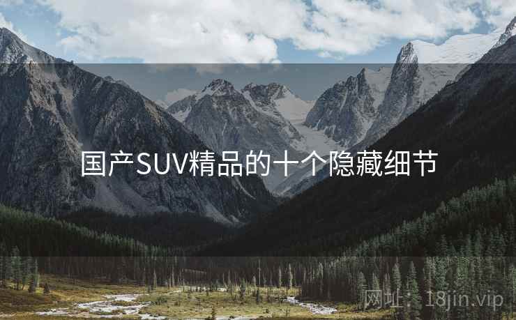 国产SUV精品的十个隐藏细节