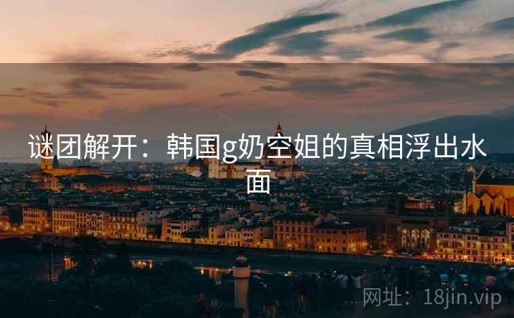 谜团解开：韩国g奶空姐的真相浮出水面