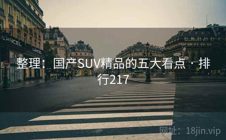 整理：国产SUV精品的五大看点 · 排行217