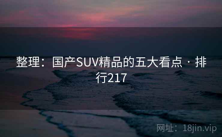 整理：国产SUV精品的五大看点 · 排行217